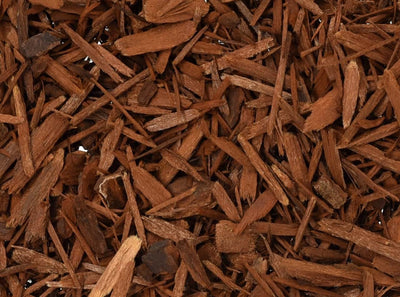 Yohimbine Nedir? Sporcular İçin Faydaları Nelerdir?